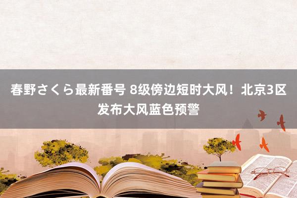 春野さくら最新番号 8级傍边短时大风！北京3区发布大风蓝色预警