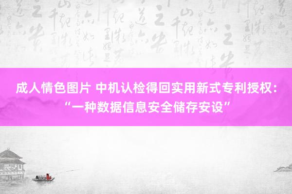 成人情色图片 中机认检得回实用新式专利授权：“一种数据信息安全储存安设”