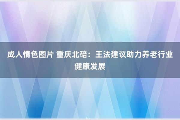 成人情色图片 重庆北碚：王法建议助力养老行业健康发展