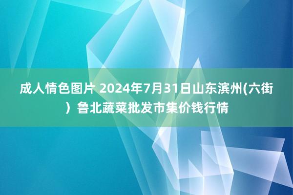 成人情色图片 2024年7月31日山东滨州(六街）鲁北蔬菜批发市集价钱行情