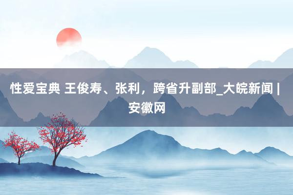 性爱宝典 王俊寿、张利，跨省升副部_大皖新闻 | 安徽网