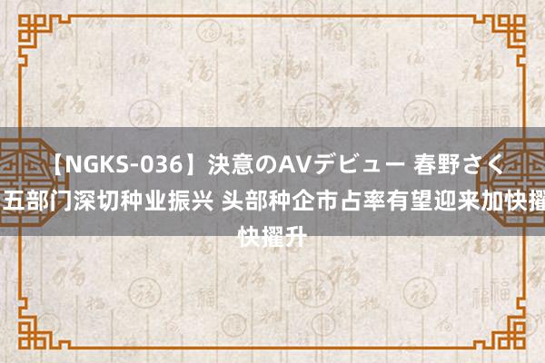 【NGKS-036】決意のAVデビュー 春野さくら 五部门深切种业振兴 头部种企市占率有望迎来加快擢升