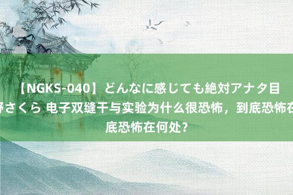 【NGKS-040】どんなに感じても絶対アナタ目線 春野さくら 电子双缝干与实验为什么很恐怖，到底恐怖在何处？