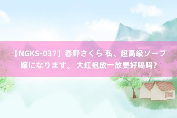 【NGKS-037】春野さくら 私、超高級ソープ嬢になります。 大红袍放一放更好喝吗？