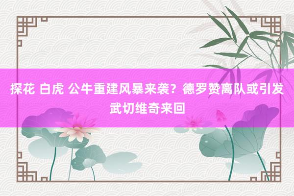 探花 白虎 公牛重建风暴来袭？德罗赞离队或引发武切维奇来回