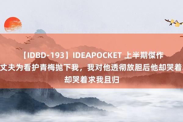 【IDBD-193】IDEAPOCKET 上半期傑作集2009 丈夫为看护青梅抛下我，我对他透彻放胆后他却哭着求我且归