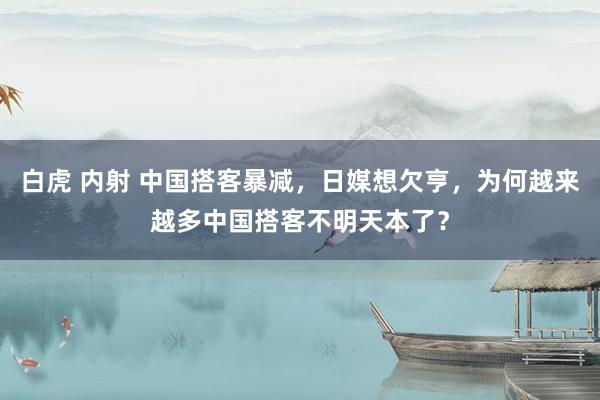 白虎 内射 中国搭客暴减，日媒想欠亨，为何越来越多中国搭客不明天本了？