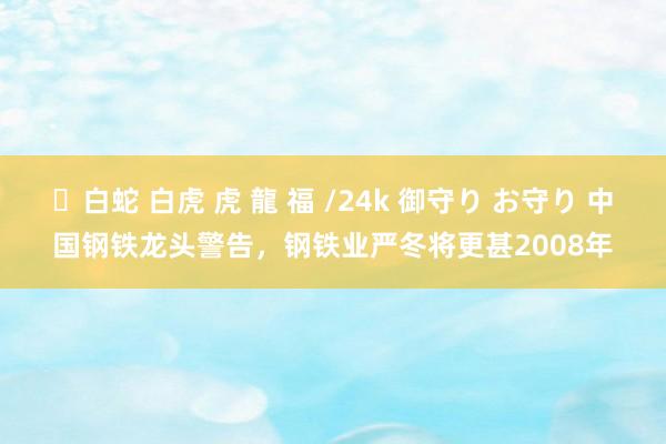 ✨白蛇 白虎 虎 龍 福 /24k 御守り お守り 中国钢铁龙头警告，钢铁业严冬将更甚2008年