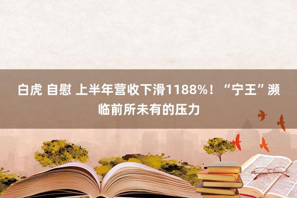 白虎 自慰 上半年营收下滑1188%！“宁王”濒临前所未有的压力