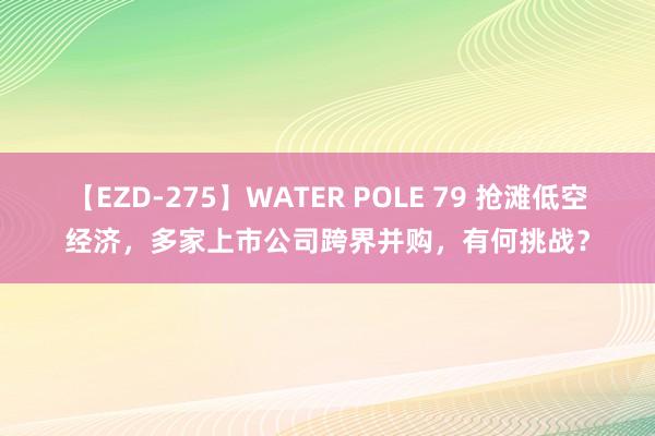 【EZD-275】WATER POLE 79 抢滩低空经济，多家上市公司跨界并购，有何挑战？