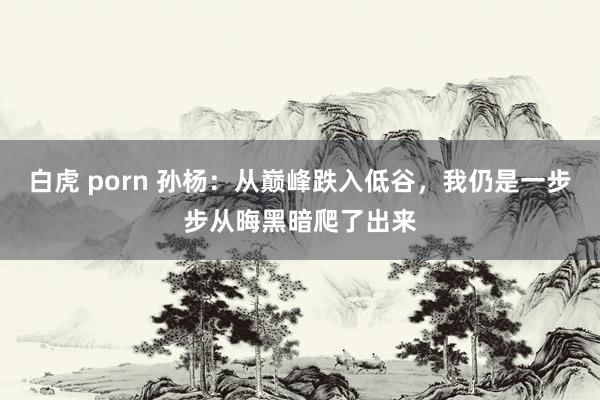 白虎 porn 孙杨：从巅峰跌入低谷，我仍是一步步从晦黑暗爬了出来