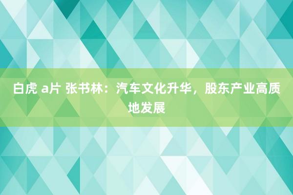 白虎 a片 张书林：汽车文化升华，股东产业高质地发展