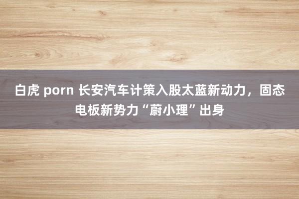 白虎 porn 长安汽车计策入股太蓝新动力，固态电板新势力“蔚小理”出身