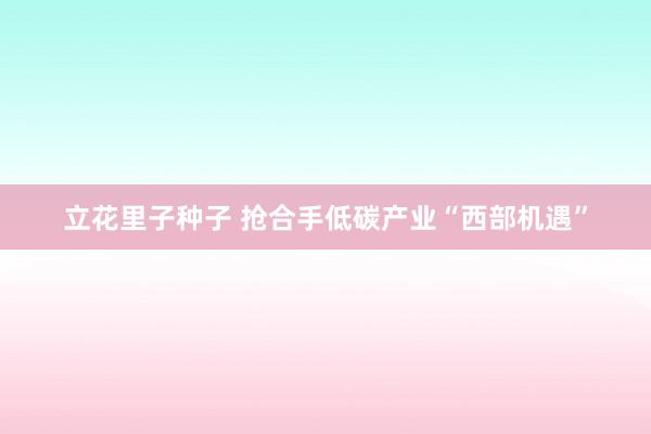 立花里子种子 抢合手低碳产业“西部机遇”