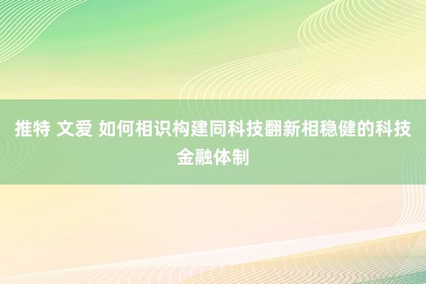 推特 文爱 如何相识构建同科技翻新相稳健的科技金融体制