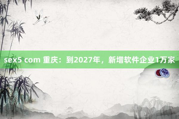 sex5 com 重庆：到2027年，新增软件企业1万家