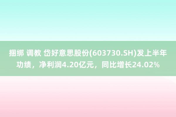 捆绑 调教 岱好意思股份(603730.SH)发上半年功绩，净利润4.20亿元，同比增长24.02%