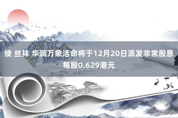 绫 丝袜 华润万象活命将于12月20日派发非常股息每股0.629港元