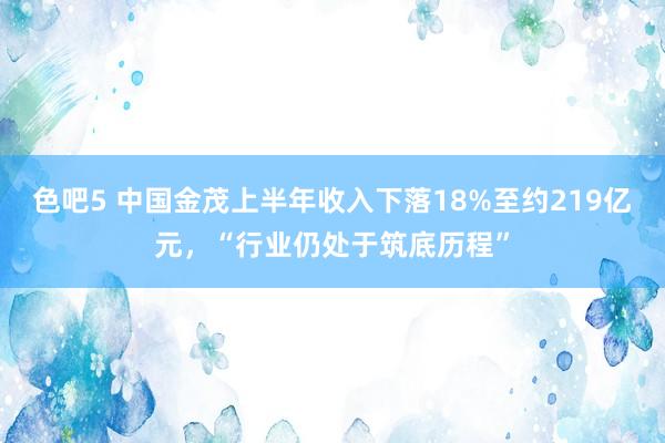 色吧5 中国金茂上半年收入下落18%至约219亿元，“行业仍处于筑底历程”