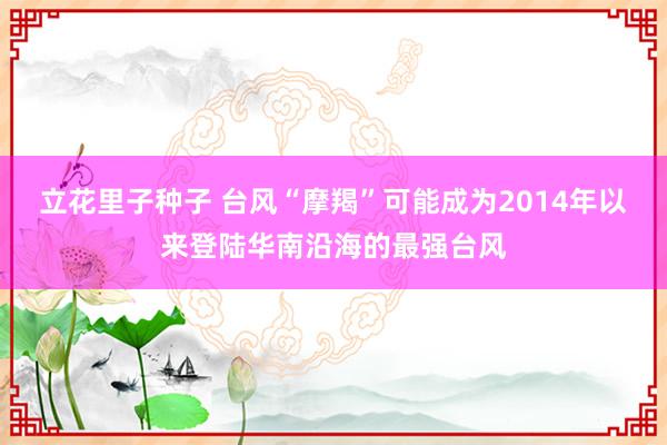 立花里子种子 台风“摩羯”可能成为2014年以来登陆华南沿海的最强台风