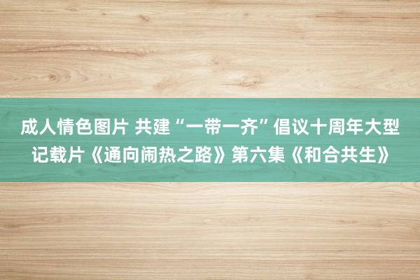 成人情色图片 共建“一带一齐”倡议十周年大型记载片《通向闹热之路》第六集《和合共生》